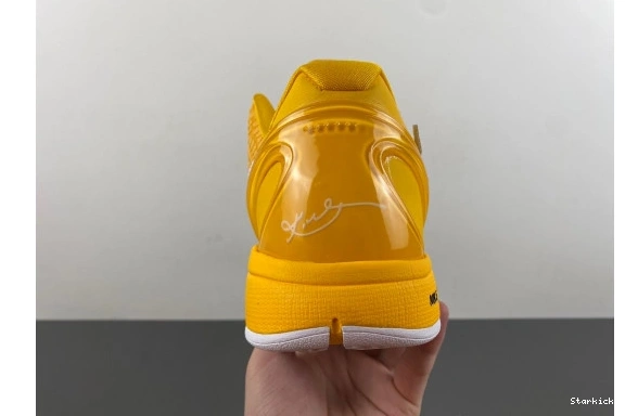 Nike 6 Protro CW2190-501 Kobe  1102